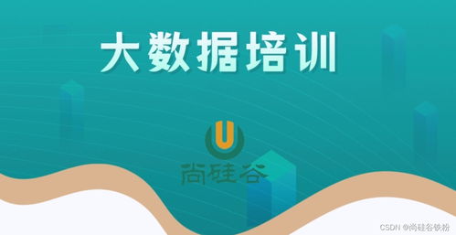 零基礎(chǔ)入門大數(shù)據(jù)開發(fā)技術(shù) 從構(gòu)建知識體系到實(shí)戰(zhàn)的完整路徑